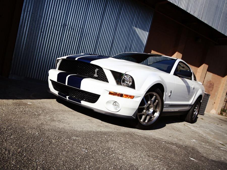  Shelby GT500 2005 года  (фото 12 из 30)